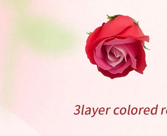 3layer colored rose